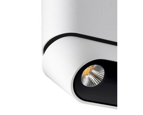 Спот Фергус 8005/3CM-WT-BK Lumien Hall