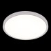 Потолочный светильник Extraslim 10227/40 White Loft It