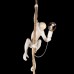 Подвесной светильник Monkey 10314P Loft It