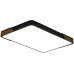 Потолочный светильник Alberro ZRS.01244.60 Zortes