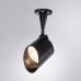 Прожектор уличный Elsie A1024AL-1BK Arte Lamp