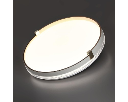Настенно-потолочный светильник Olidi White 7646/DL Sonex