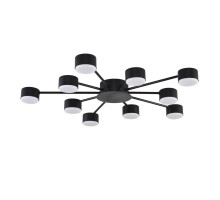 Потолочная люстра Torina 8344/10C Lumion