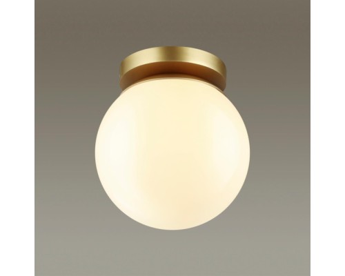Потолочный светильник уличный Bosco 4247/1C Odeon Light