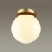 Потолочный светильник уличный Bosco 4247/1C Odeon Light