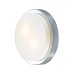 Настенно-потолочный светильник Holger 2746/2C Odeon Light
