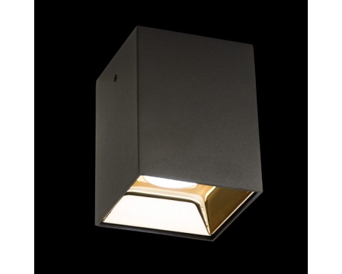 Точечный светильник Старк CL7440213 Citilux