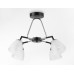 Потолочная люстра TRADITIONAL TR303293 Ambrella