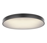 Потолочный светильник Wiss 41744-60S Globo