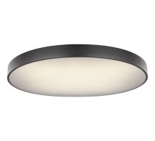 Потолочный светильник Wiss 41744-60S Globo