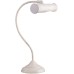 Интерьерная настольная лампа Picture Lights Basic A5023LT-1WG Arte Lamp