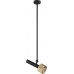 Подвесной светильник Delta 2361-1 BK+BR iLedex