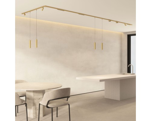 Трековый светильник SHINE SPOT DK5740-SB Denkirs