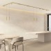 Трековый светильник SHINE SPOT DK5740-SB Denkirs