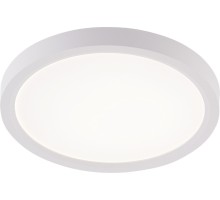Потолочный светильник Plain LED LAMPS 81113/1C Natali Kovaltseva
