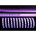 Светодиодная лента SMD5050 840241 Deko-Light