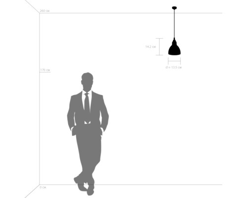 Подвесная люстра Loft 865016 Lightstar