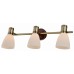 Спот Sharyl TL3720Y-03BB TopLight