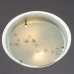 Потолочный светильник Belle A4890PL-2CC Arte Lamp