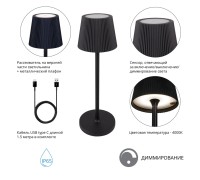 Уличная настольная лампа Fuyue A1616LT-1BK Arte Lamp