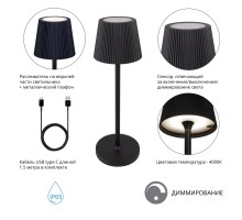 Уличная настольная лампа Fuyue A1616LT-1BK Arte Lamp
