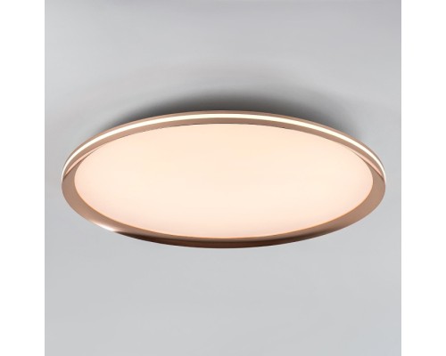Потолочный светильник LED4U L3020-600 GD LED4U
