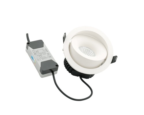 Точечный светильник COMBO DL-FS-1006-60-W-12-WW Lumker