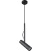 Подвесной светильник Clt 060 CLT 060C1 BL Crystal Lux