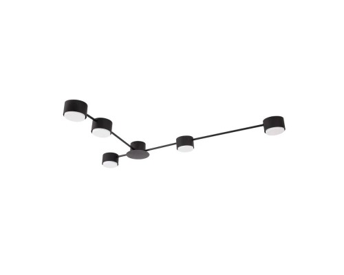 Потолочная люстра Tracy A1527PL-5BK Arte Lamp