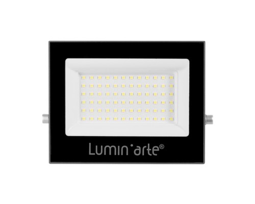 Прожектор уличный  LFL-70W/06 Lumin'arte