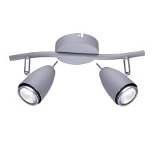 Спот Regista A1966AP-2GY Arte Lamp