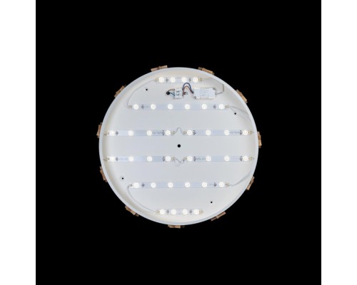 Потолочный светильник Axel 10006/36 White Loft It