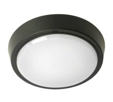 Настенно-потолочный светильник AL3020 51473 Feron