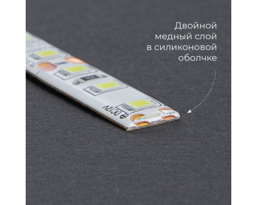 Светодиодная лента  48219 Feron
