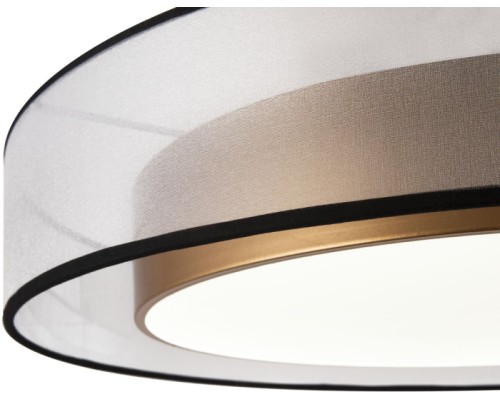 Потолочный светильник Zoticus FR6005CL-L48G Freya