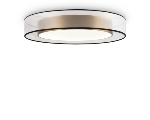 Потолочный светильник Zoticus FR6005CL-L48G Freya