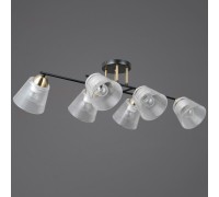 Потолочная люстра  IL0845-6CSQ-25BKAB ELITE ILLUMICO