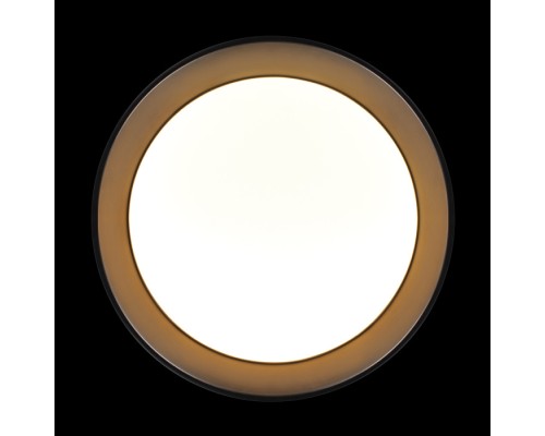Потолочный светильник Coin 10202 BB Loft It