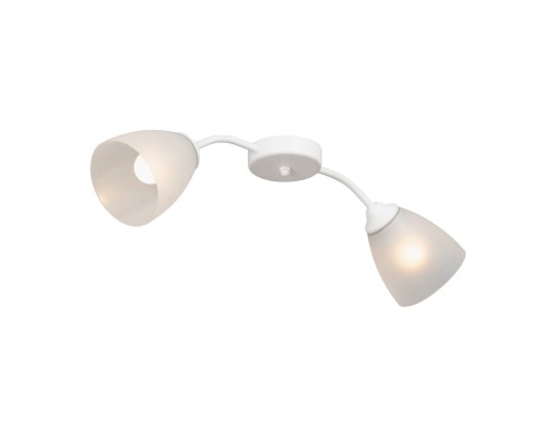 Потолочная люстра  V3750/2PL Vitaluce
