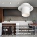 Точечный светильник Vibi DK3057-WH Denkirs