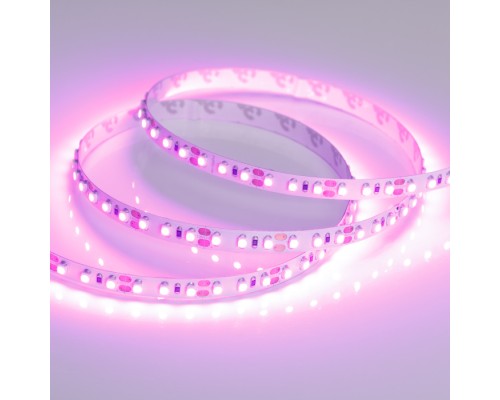 Светодиодная лента RT открытая 015897(2) Arlight