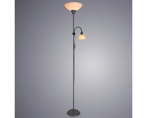Торшер Duetto A9569PN-2SI Arte Lamp