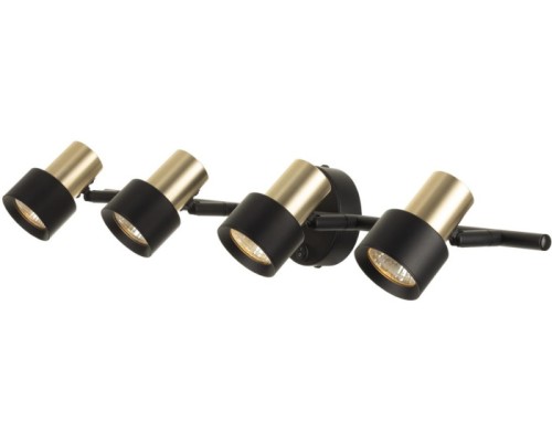 Спот Sat CL505641 Citilux