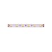 Светодиодная лента LUX DSG560-24-NW-33 DesignLed