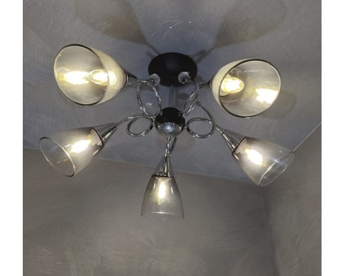 Потолочная люстра Merita 66727.01.13.05 Wedo Light