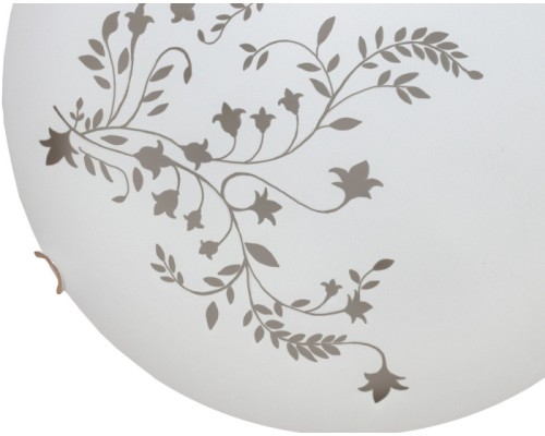 Настенно-потолочный светильник Ornament A3820PL-2CC Arte Lamp