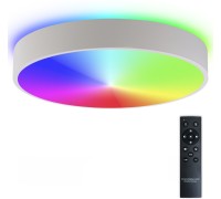 Потолочный светильник Modern LED LAMPS 81105/2C Natali Kovaltseva
