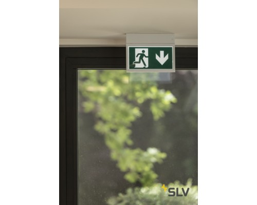 Информационный светильник P-LIGHT 240000 SLV