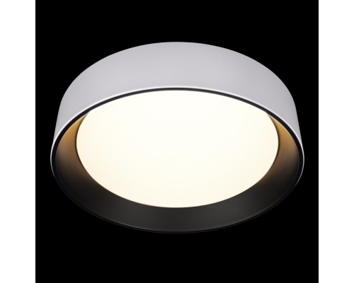 Потолочный светильник Coin 10202 WB Loft It