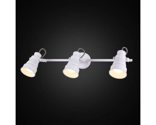 Спот Бейкер CL541530 Citilux